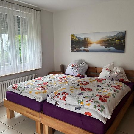 Klettgauperle - Familien- Und Behindertengerechte Ferienwohnung Griessen ภายนอก รูปภาพ