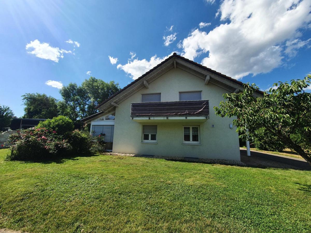 Klettgauperle - Familien- Und Behindertengerechte Ferienwohnung Griessen ภายนอก รูปภาพ